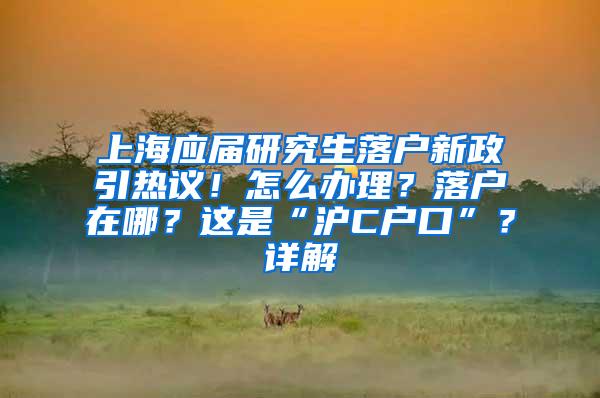 上海应届研究生落户新政引热议！怎么办理？落户在哪？这是“沪C户口”？详解→