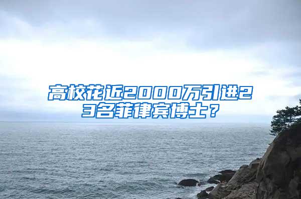 高校花近2000万引进23名菲律宾博士？