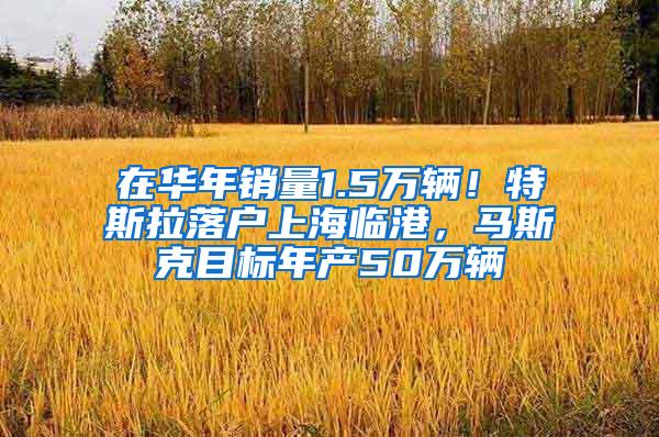 在华年销量1.5万辆！特斯拉落户上海临港，马斯克目标年产50万辆