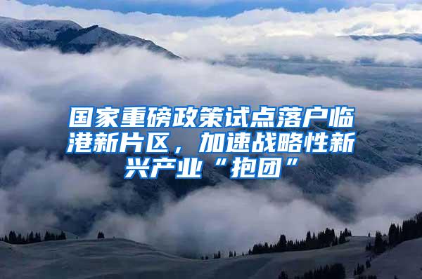 国家重磅政策试点落户临港新片区，加速战略性新兴产业“抱团”