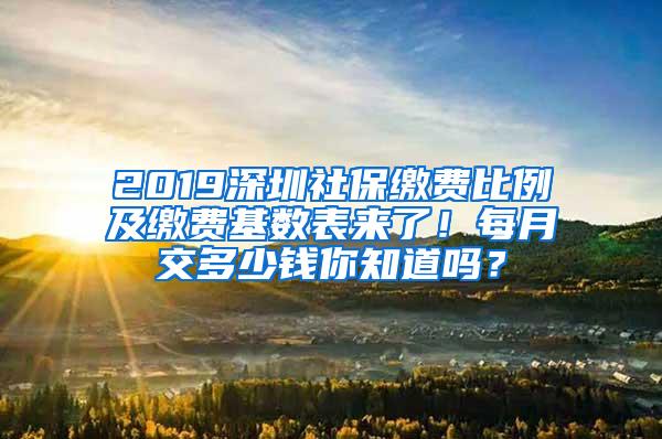 2019深圳社保缴费比例及缴费基数表来了！每月交多少钱你知道吗？