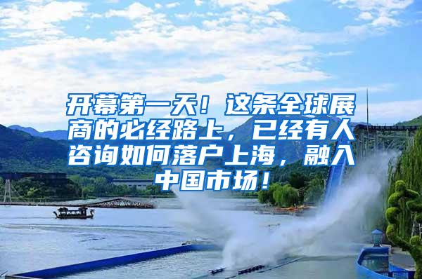 开幕第一天！这条全球展商的必经路上，已经有人咨询如何落户上海，融入中国市场！