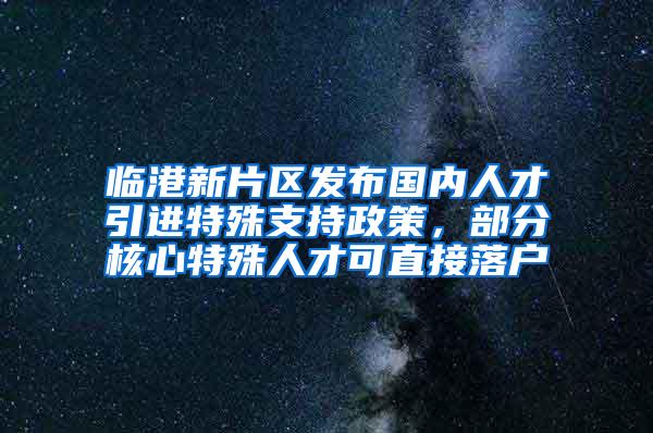 临港新片区发布国内人才引进特殊支持政策，部分核心特殊人才可直接落户