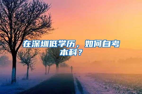 在深圳低学历，如何自考本科？
