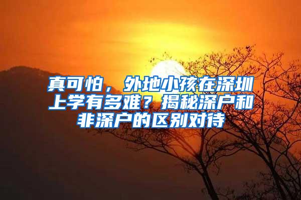 真可怕，外地小孩在深圳上学有多难？揭秘深户和非深户的区别对待