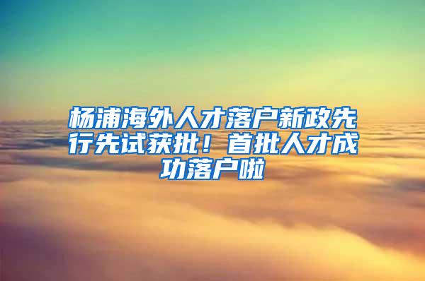 杨浦海外人才落户新政先行先试获批！首批人才成功落户啦