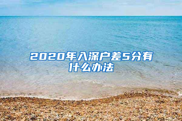 2020年入深户差5分有什么办法