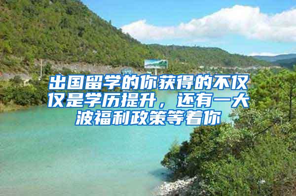 出国留学的你获得的不仅仅是学历提升，还有一大波福利政策等着你