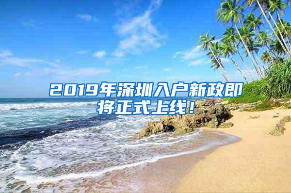 2019年深圳入户新政即将正式上线！