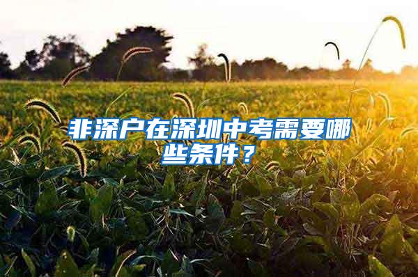 非深户在深圳中考需要哪些条件？