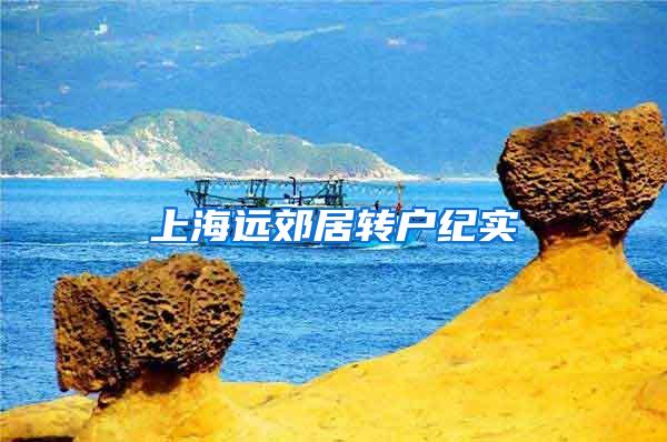 上海远郊居转户纪实