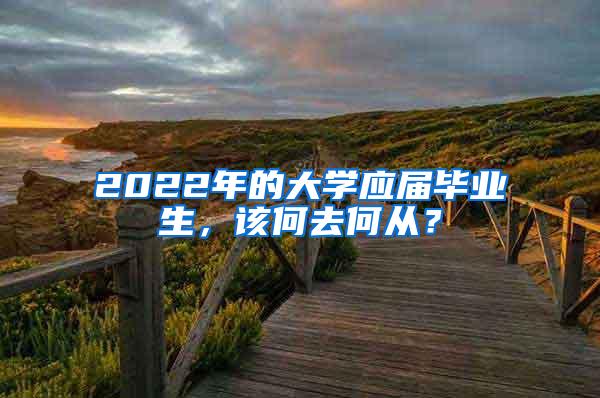 2022年的大学应届毕业生，该何去何从？