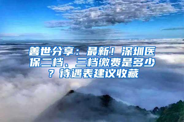 善世分享：最新！深圳医保二档、三档缴费是多少？待遇表建议收藏