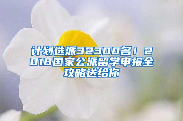 计划选派32300名！2018国家公派留学申报全攻略送给你