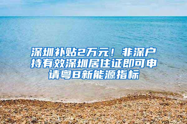 深圳补贴2万元！非深户持有效深圳居住证即可申请粤B新能源指标