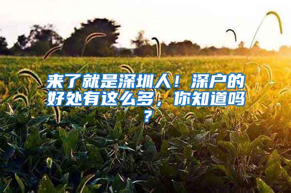 来了就是深圳人！深户的好处有这么多，你知道吗？