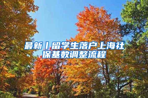 最新丨留学生落户上海社保基数调整流程