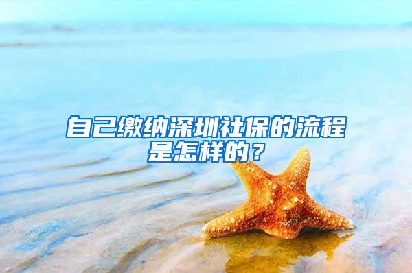 自己缴纳深圳社保的流程是怎样的？