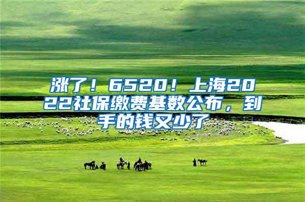 涨了！6520！上海2022社保缴费基数公布，到手的钱又少了