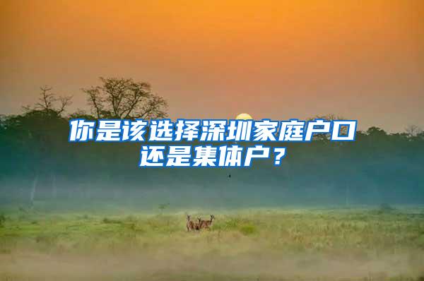 你是该选择深圳家庭户口还是集体户？