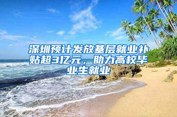 深圳预计发放基层就业补贴超3亿元，助力高校毕业生就业