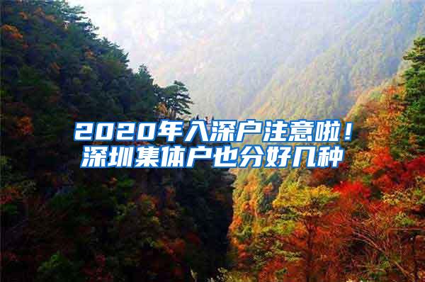 2020年入深户注意啦！深圳集体户也分好几种