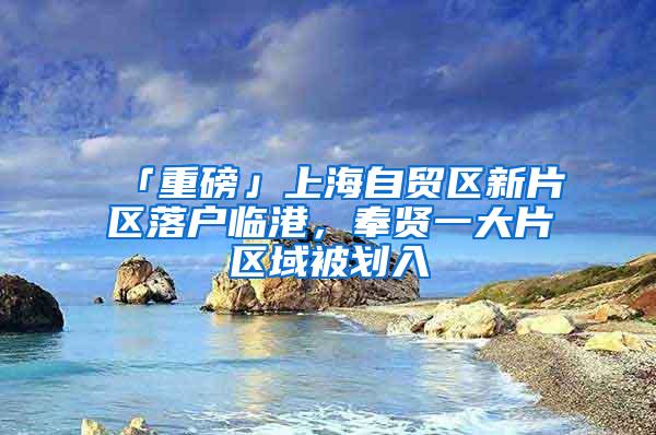 「重磅」上海自贸区新片区落户临港，奉贤一大片区域被划入