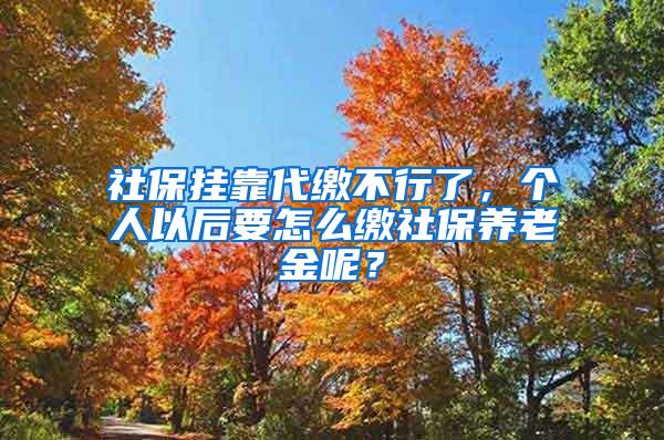 社保挂靠代缴不行了，个人以后要怎么缴社保养老金呢？