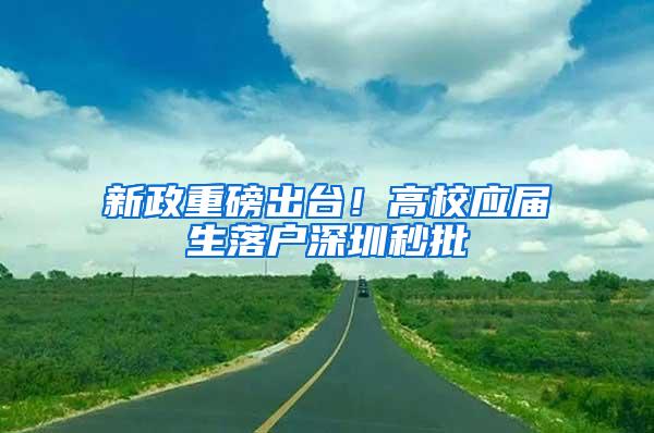 新政重磅出台！高校应届生落户深圳秒批