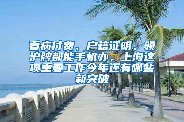 看病付费、户籍证明、领沪牌都能手机办，上海这项重要工作今年还有哪些新突破