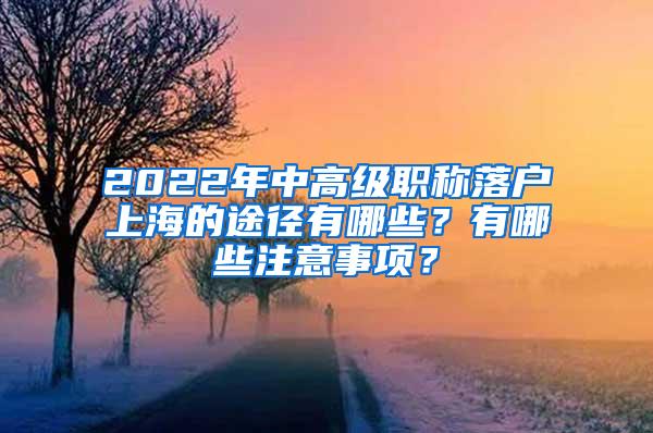 2022年中高级职称落户上海的途径有哪些？有哪些注意事项？