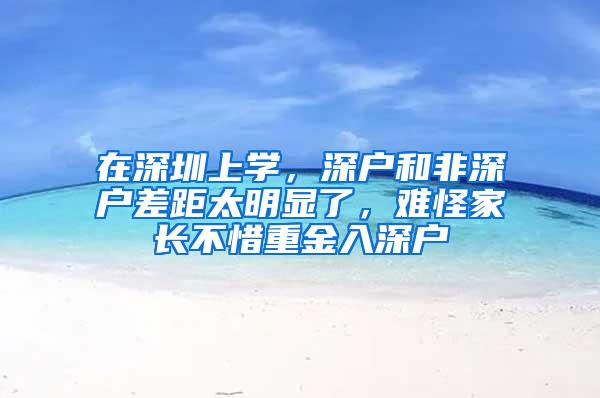 在深圳上学，深户和非深户差距太明显了，难怪家长不惜重金入深户