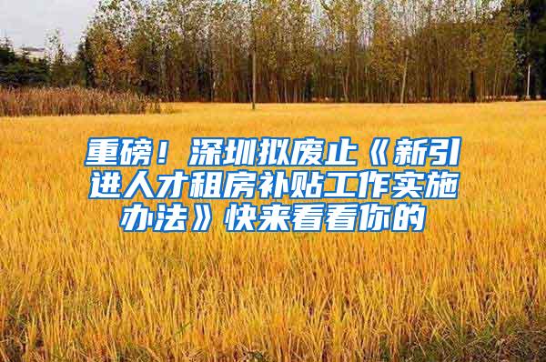 重磅！深圳拟废止《新引进人才租房补贴工作实施办法》快来看看你的