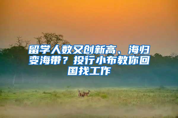 留学人数又创新高、海归变海带？投行小布教你回国找工作