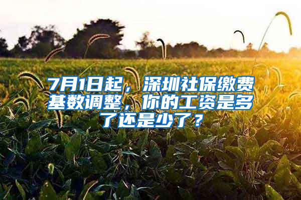 7月1日起，深圳社保缴费基数调整，你的工资是多了还是少了？