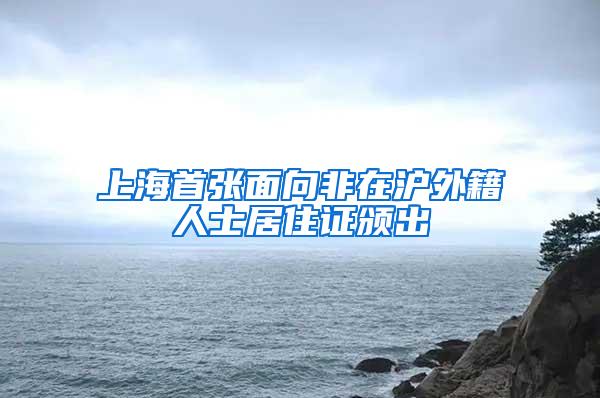 上海首张面向非在沪外籍人士居住证颁出