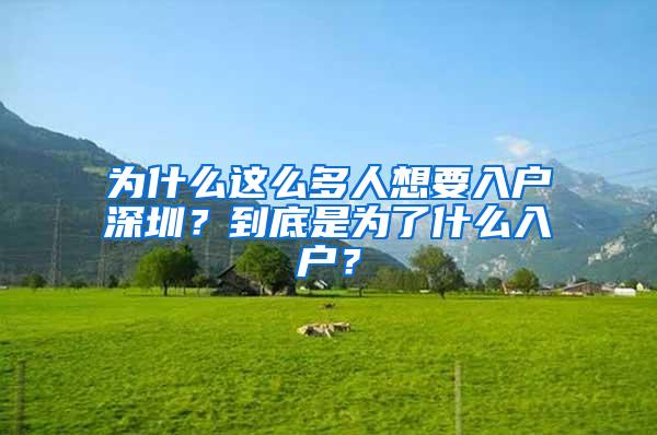 为什么这么多人想要入户深圳？到底是为了什么入户？