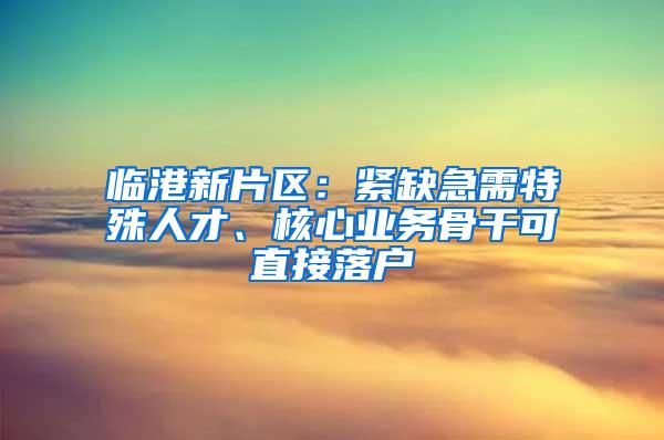 临港新片区：紧缺急需特殊人才、核心业务骨干可直接落户