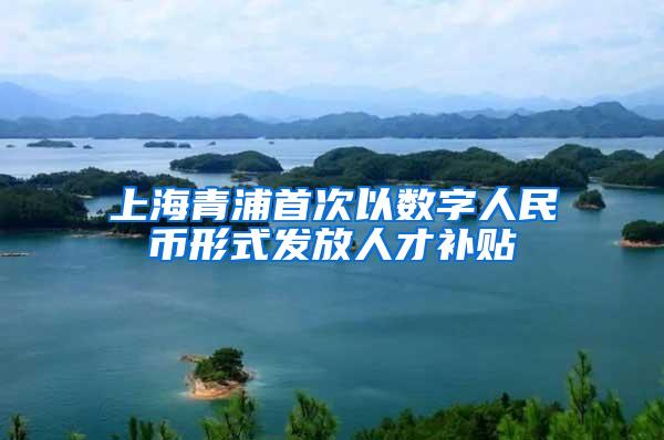 上海青浦首次以数字人民币形式发放人才补贴