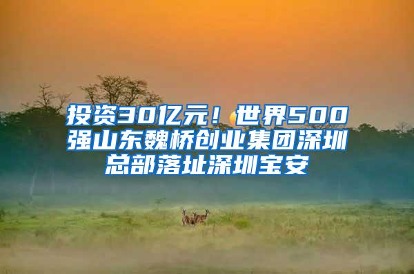 投资30亿元！世界500强山东魏桥创业集团深圳总部落址深圳宝安