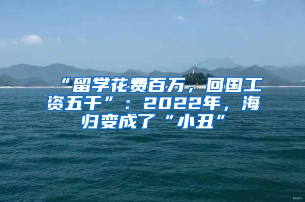 “留学花费百万，回国工资五千”：2022年，海归变成了“小丑”