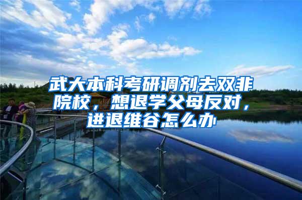 武大本科考研调剂去双非院校，想退学父母反对，进退维谷怎么办