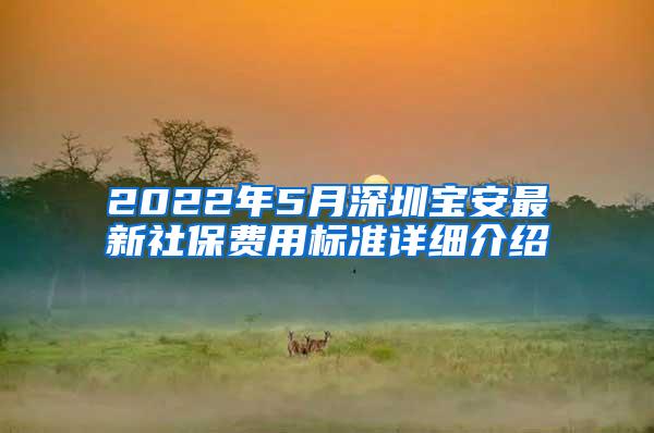 2022年5月深圳宝安最新社保费用标准详细介绍