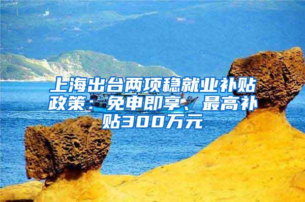 上海出台两项稳就业补贴政策：免申即享、最高补贴300万元