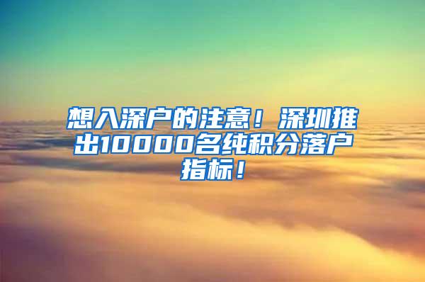 想入深户的注意！深圳推出10000名纯积分落户指标！