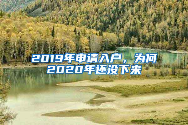 2019年申请入户，为何2020年还没下来