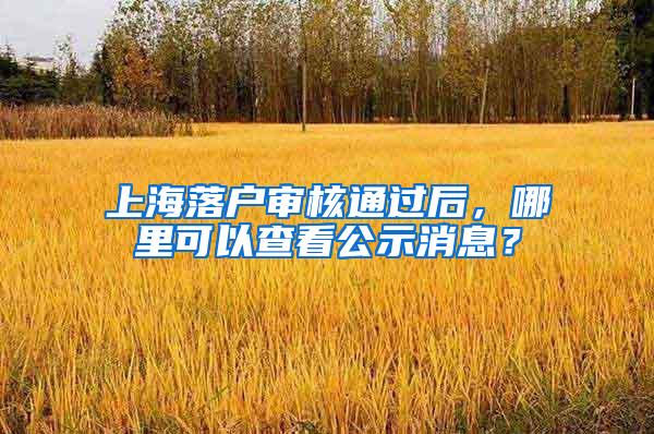 上海落户审核通过后,哪里可以查看公示消息?