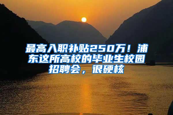 最高入职补贴250万！浦东这所高校的毕业生校园招聘会，很硬核