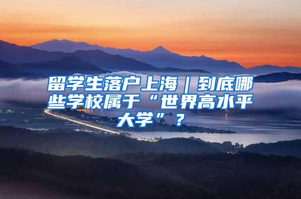 留学生落户上海｜到底哪些学校属于“世界高水平大学”？
