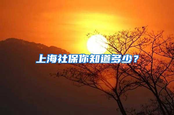 上海社保你知道多少？